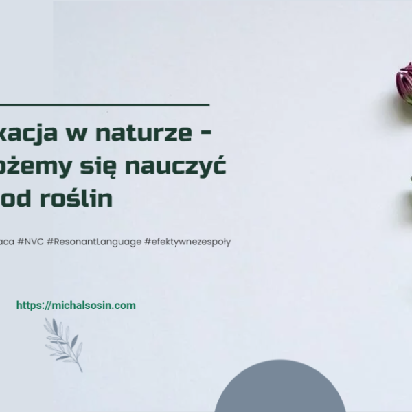 Obrazek przedstawiający roślinę oraz tytuł artykulu na blogu o komunikacji, który tworzy Michał Sosin